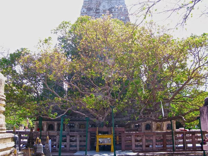 Bodh Gaya Temple - Tourist Guide Hotels and More