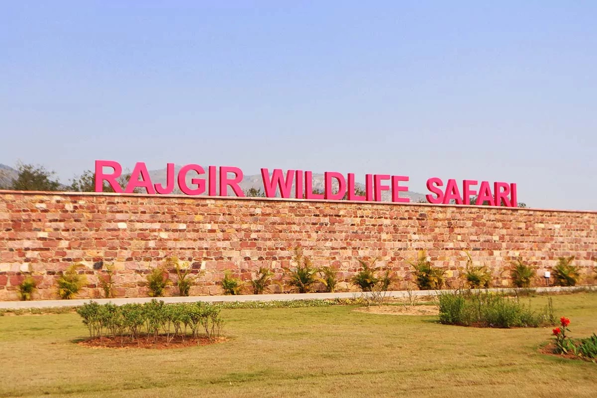 Rajgir Wildlife Zoo Safari