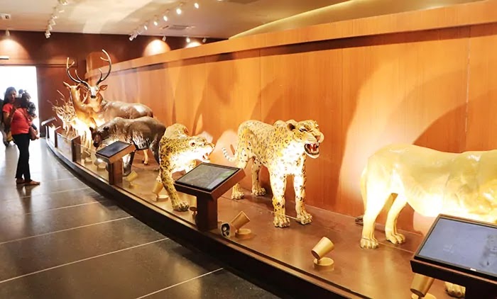 Musium, Rajgir Wildlife Zoo Safari