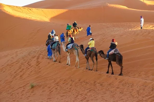 Camel safari in jaisalmer
