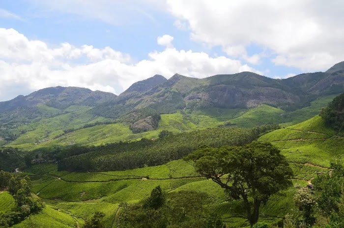 munnar, Best Places for Honeymoon in India